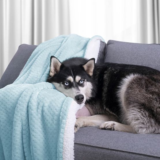 SHLEEPY Blanket Light Blue Jacquard Pattern Classic Style 70x150