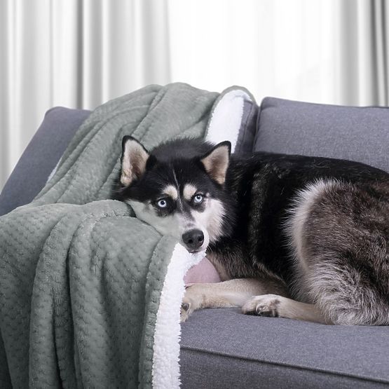 SHLEEPY Throw Grey Color with Jacquard Pattern Classic Style 220x240