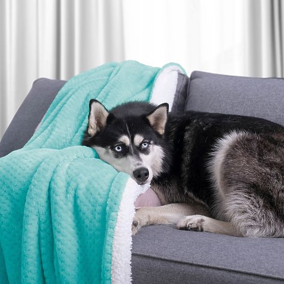 SHLEEPY Turquoise Jacquard Pattern Classic Style Blanket 220x240