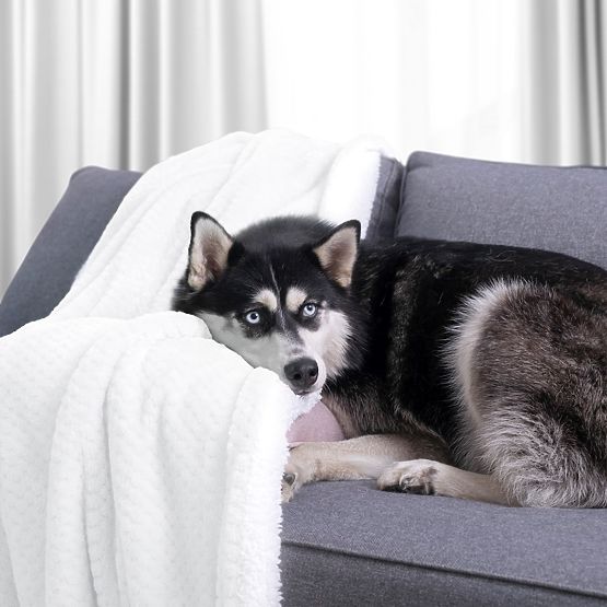 SHLEEPY White Jacquard Relief Classic Style Blanket 220x240