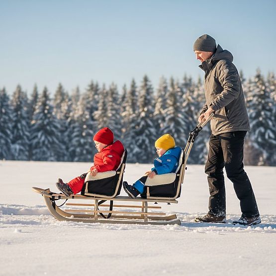 Sled for twins Duo - black seat color