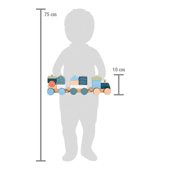 small foot Wooden Train Arctic