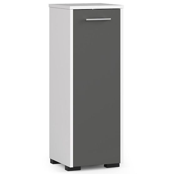 STANDING BATHROOM CABINET FIN S30 1D WHITE / GRAY