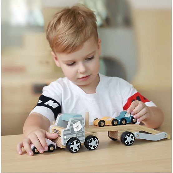 Transporter with 3 Cars Polar B
