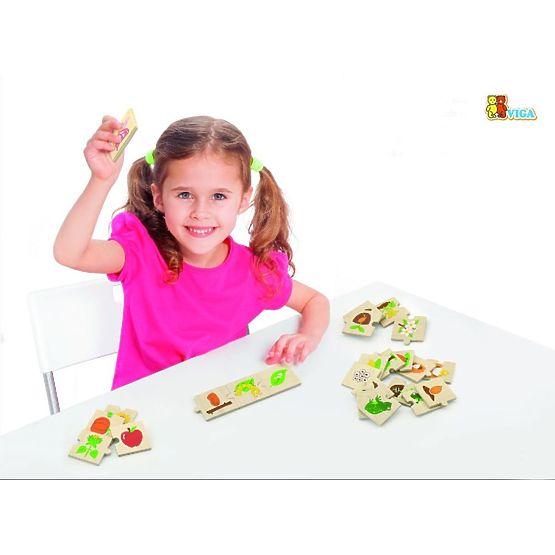 Viga Stages of Plant and Animal Development