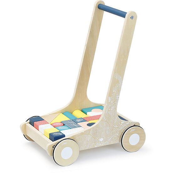 Vilac Wooden Cart with Colorful Blocks Canopée