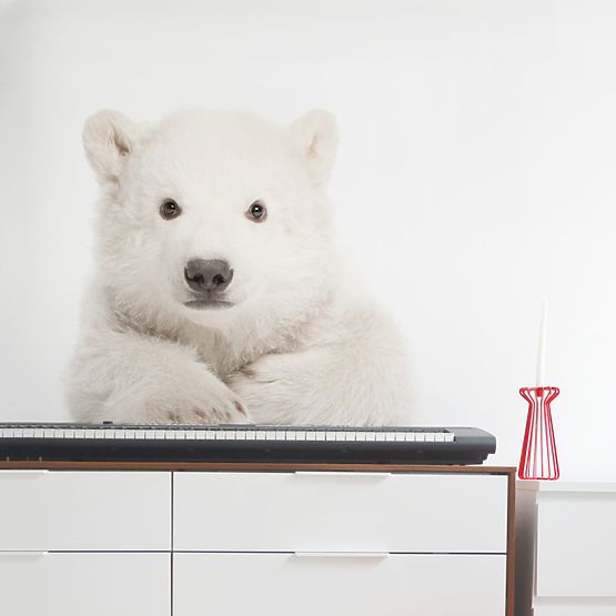 Wall decoration DEKORNIK - icy teddy bear