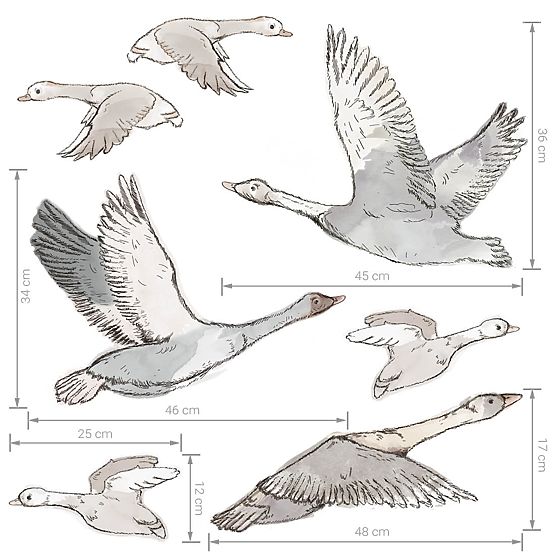 Wall Stickers - Flock of Flying Geese