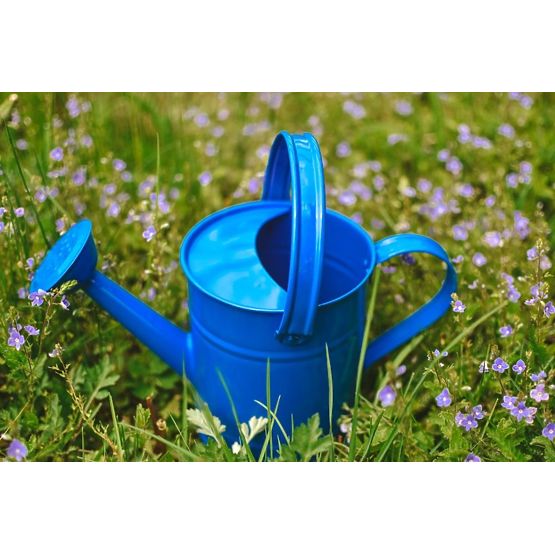 Watering can blue