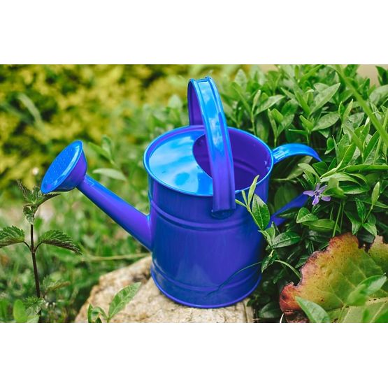 Watering can blue