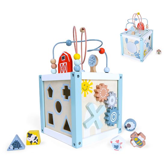Wooden Educational Cube Sorter + Blocks ECOTOYS