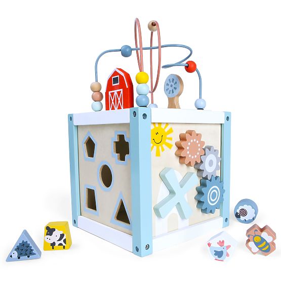 Wooden Educational Cube Sorter + Blocks ECOTOYS