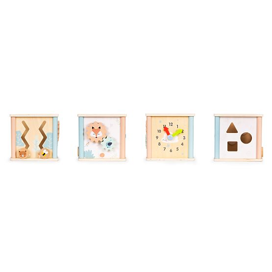 Wooden Educational Cube with Shapes ECOTOYS