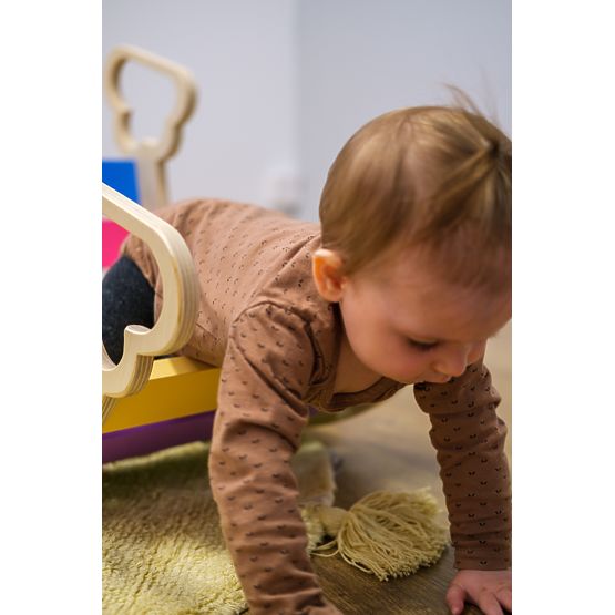 Wooden montessori swing - rainbow