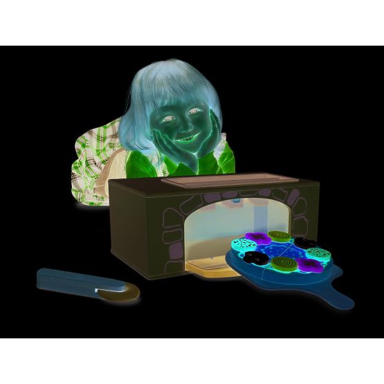 Wooden pizza oven with accessories