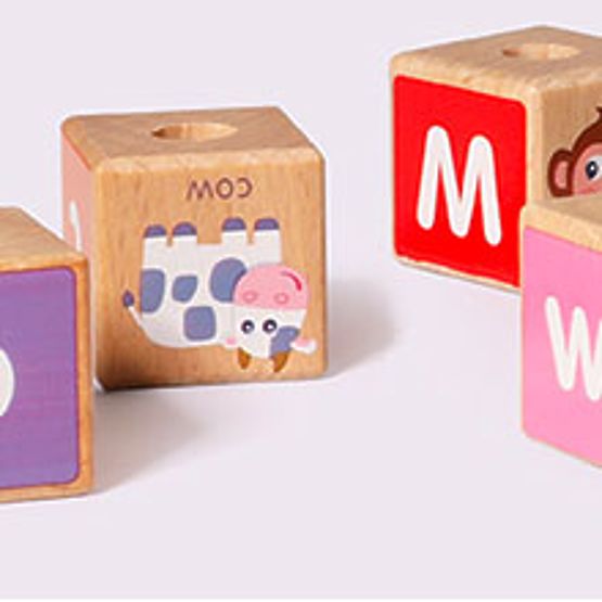 Wooden Train Large Educational Alphabet Blocks ECOTOYS