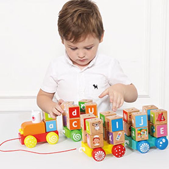 Wooden Train Large Educational Alphabet Blocks ECOTOYS