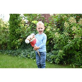 Achał Hobby Horse on a Stick