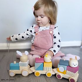 Bigjigs Baby Wooden Train with Animals, Bigjigs Toys