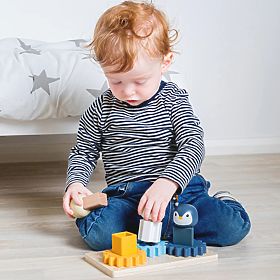 Bigjigs Toys Arctic Activity Board