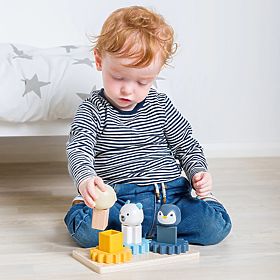 Bigjigs Toys Arctic Activity Board
