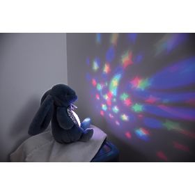 Doudou Music Box with Projection Brown Bunny