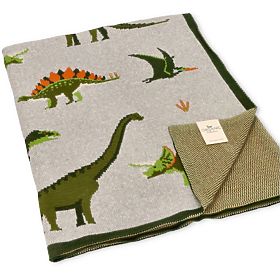 Nature Planet Organic Cotton Blanket Dinosaurs