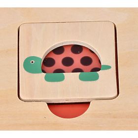 Pattern Puzzles