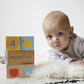 Petit Collage Stylish cubes Milestone