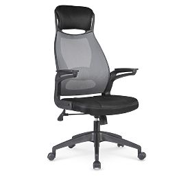 Student chair Solaris, Halmar
